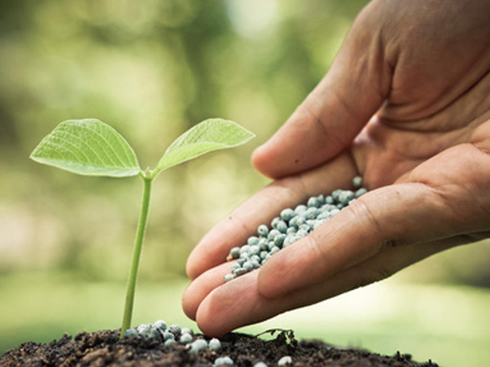 Slow-release fertilizer granulation process