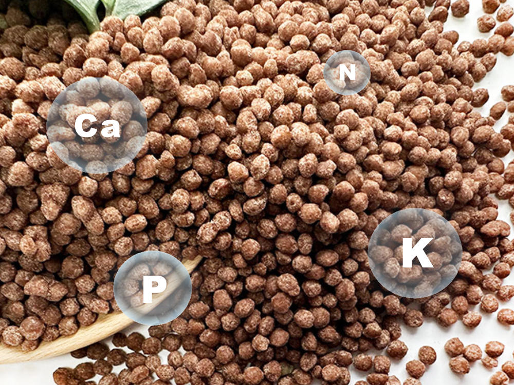 How to choose the right granulation process