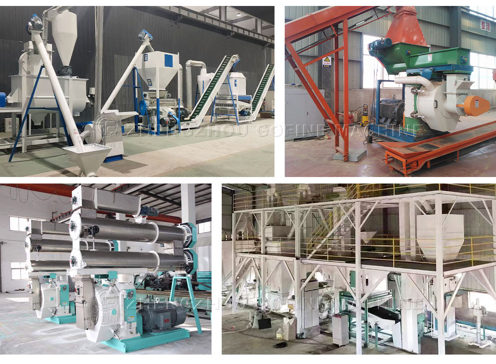 ring die granulation production line