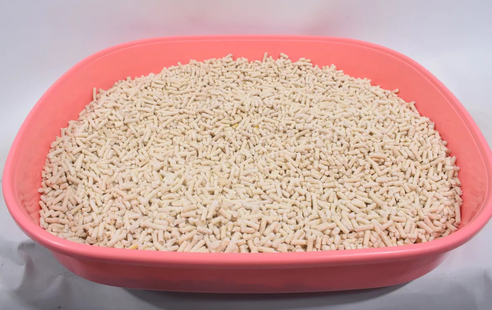 Cat Litter